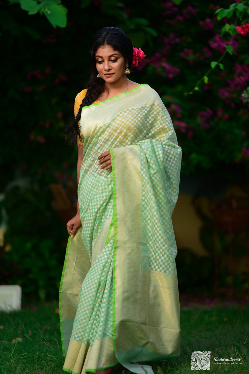 pure cotton handloom saree