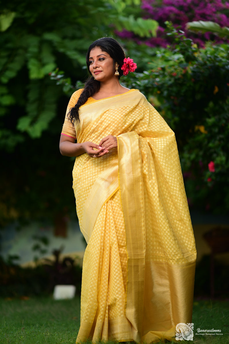 Yellow Gold Pure Cotton Handloom Saree